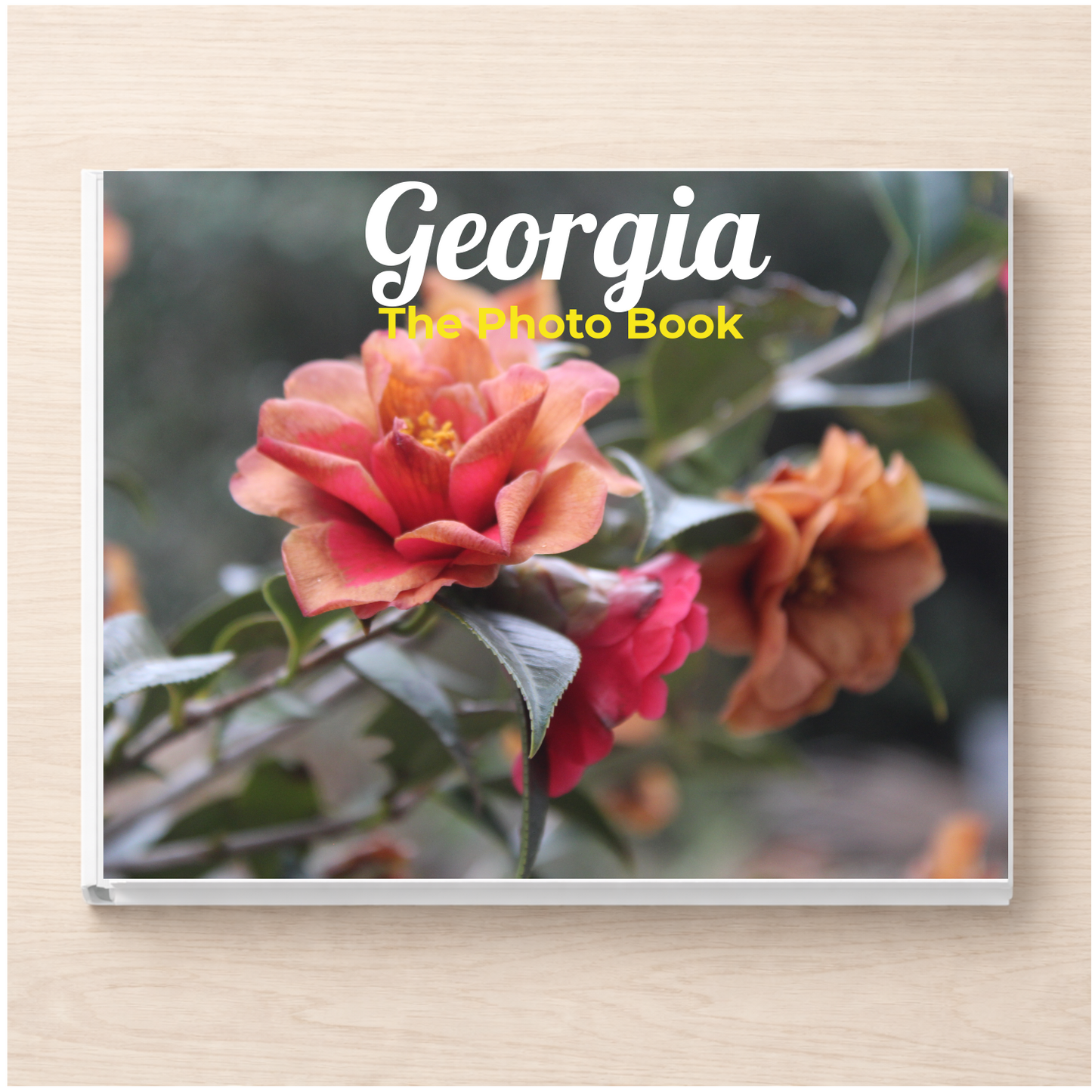 Georgia: The Photo Book