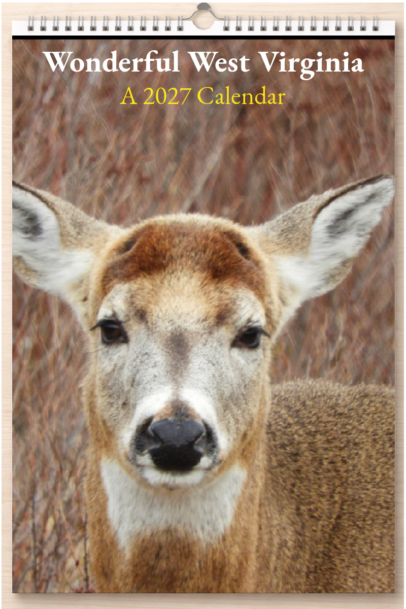 Wonderful West Virginia: A 2027 Calendar