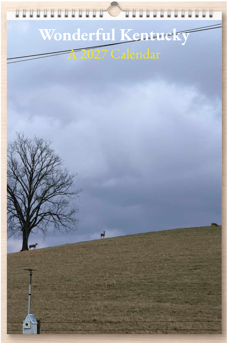 Wonderful Kentucky: A 2027 Calendar
