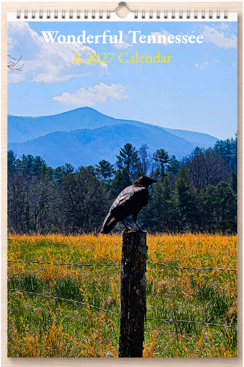 Wonderful Tennessee: A 2027 Calendar
