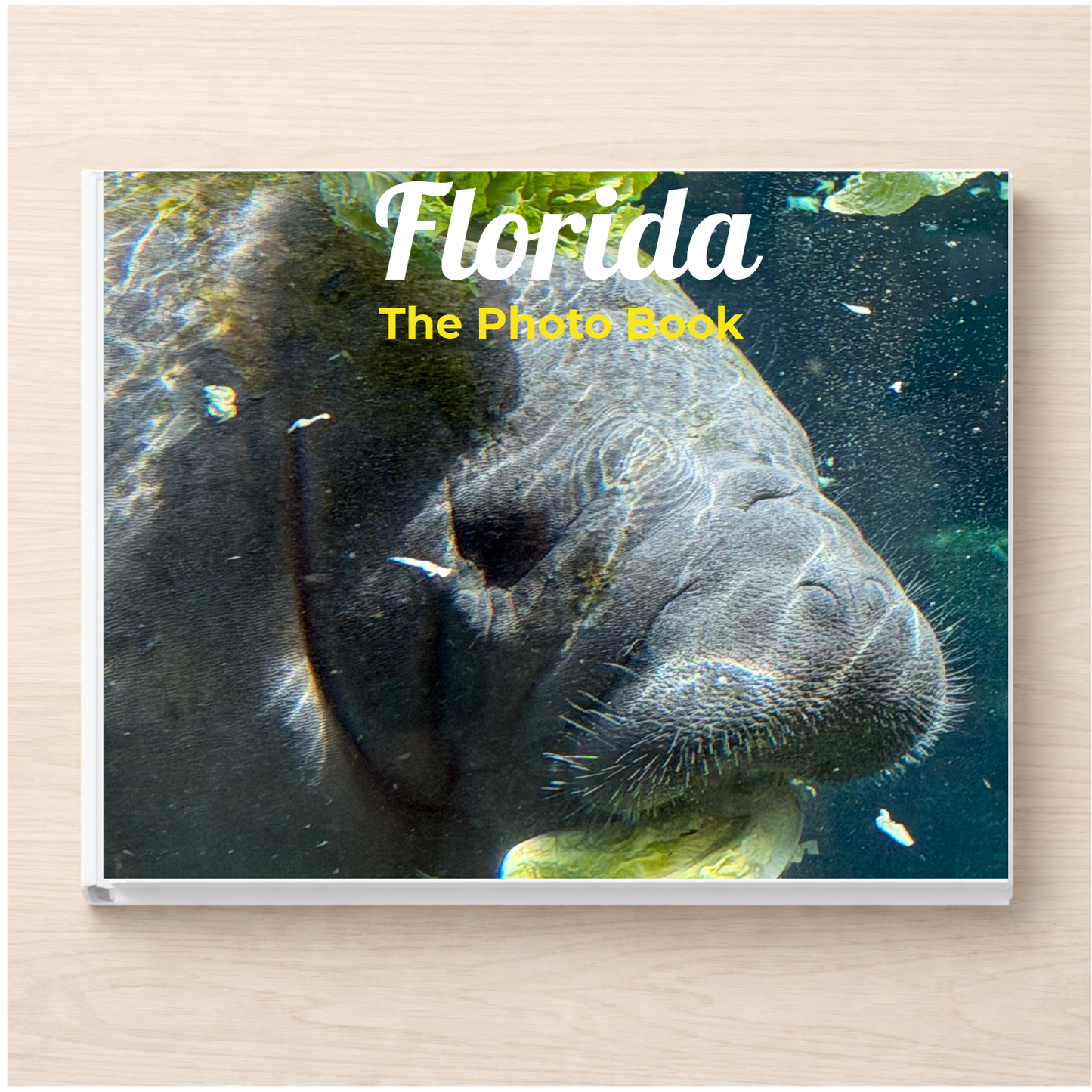 Florida: The Photo Book