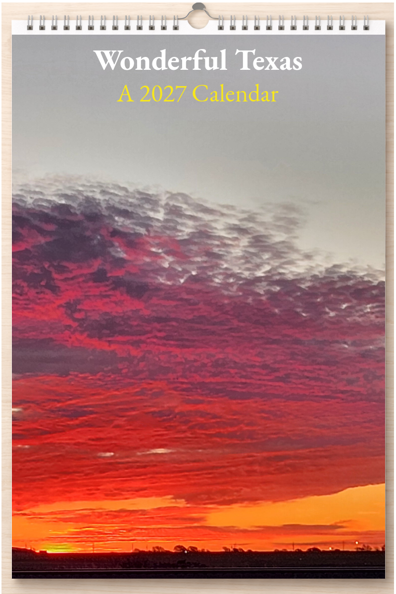 Wonderful Texas: A 2027 Calendar