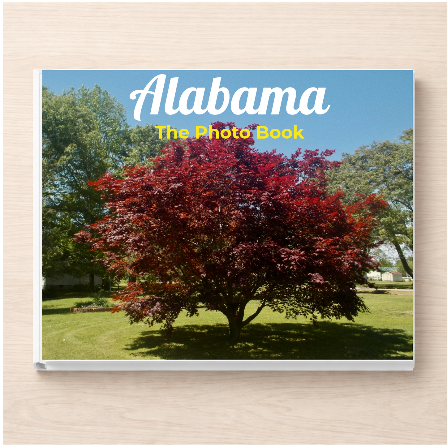 Alabama: The Photo Book