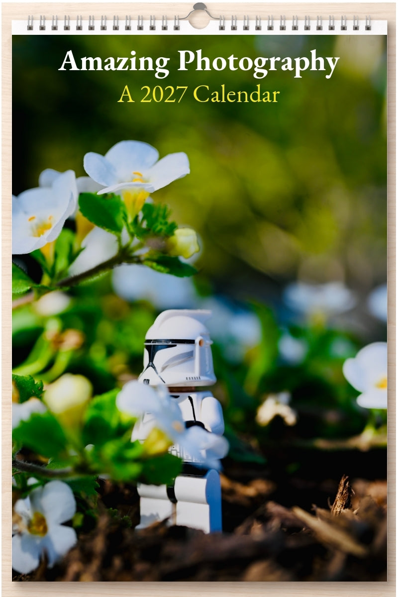 Amazing Photography: A 2027 Calendar