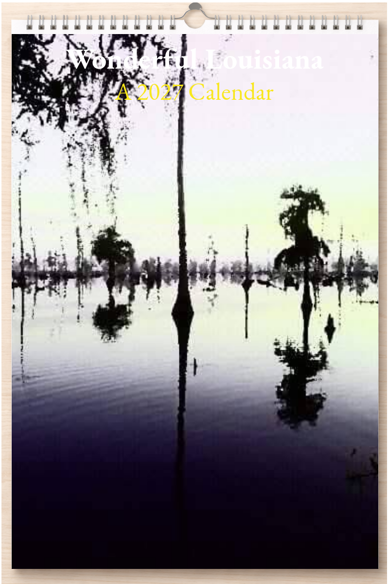 Wonderful Louisiana: A 2027 Calendar