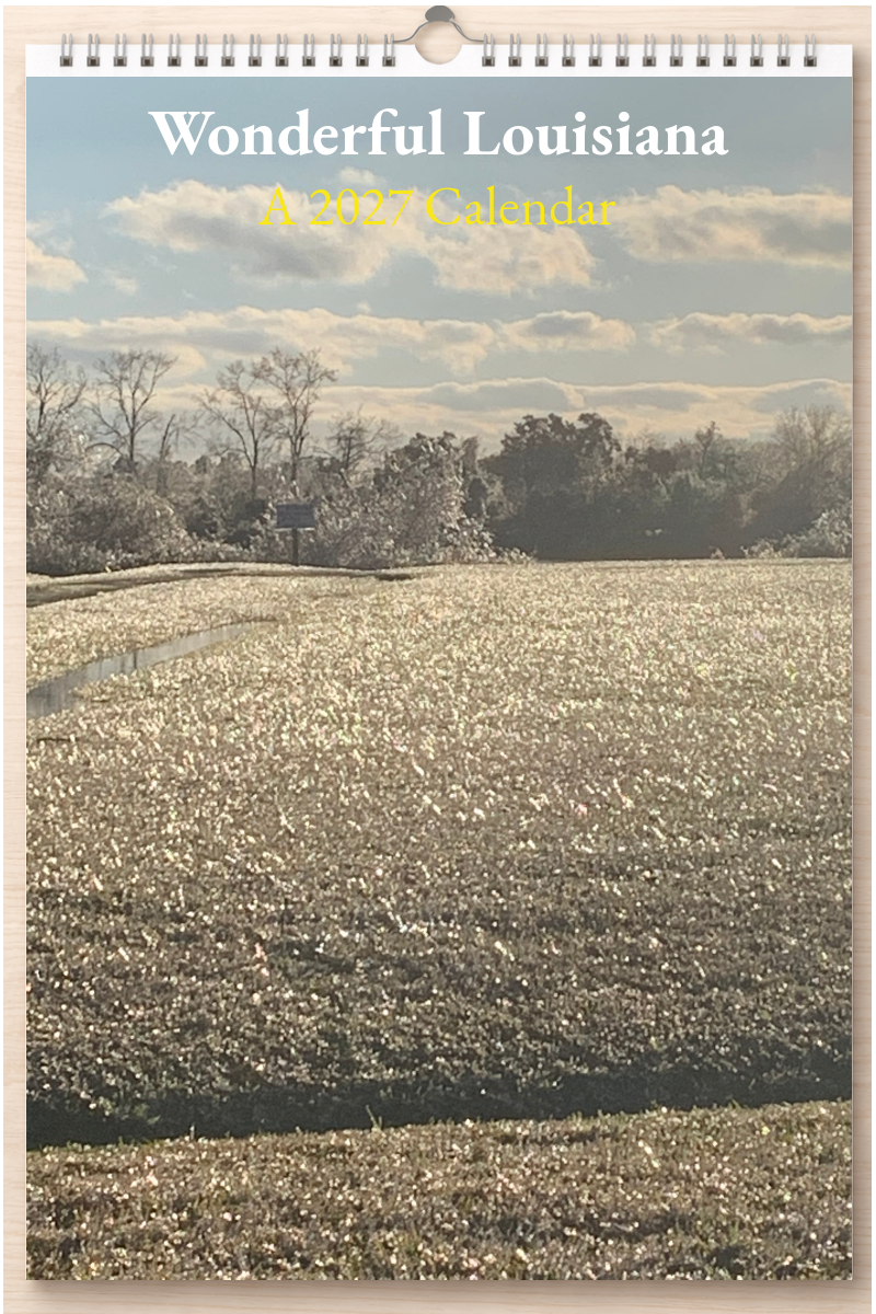 Wonderful Louisiana: A 2027 Calendar