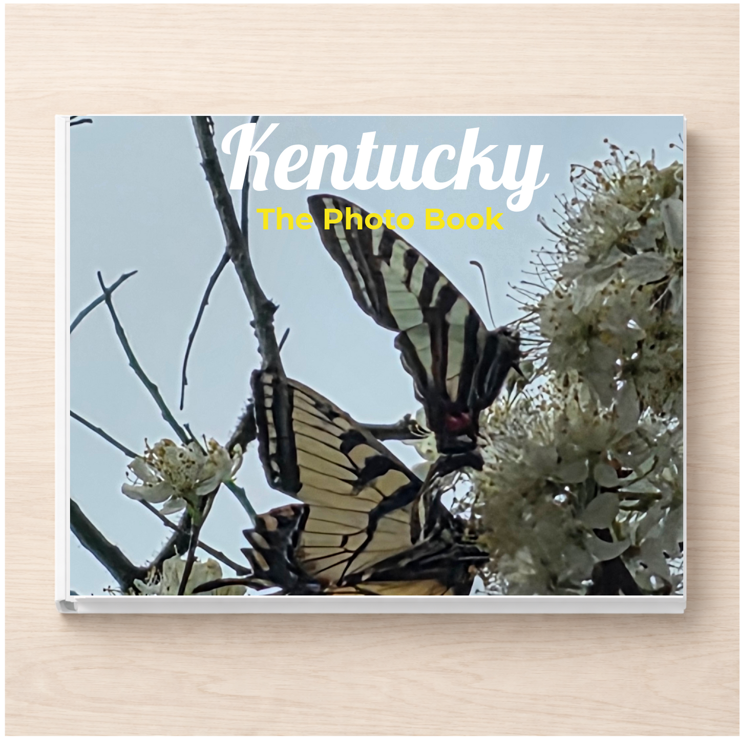 Kentucky: The Photo Book