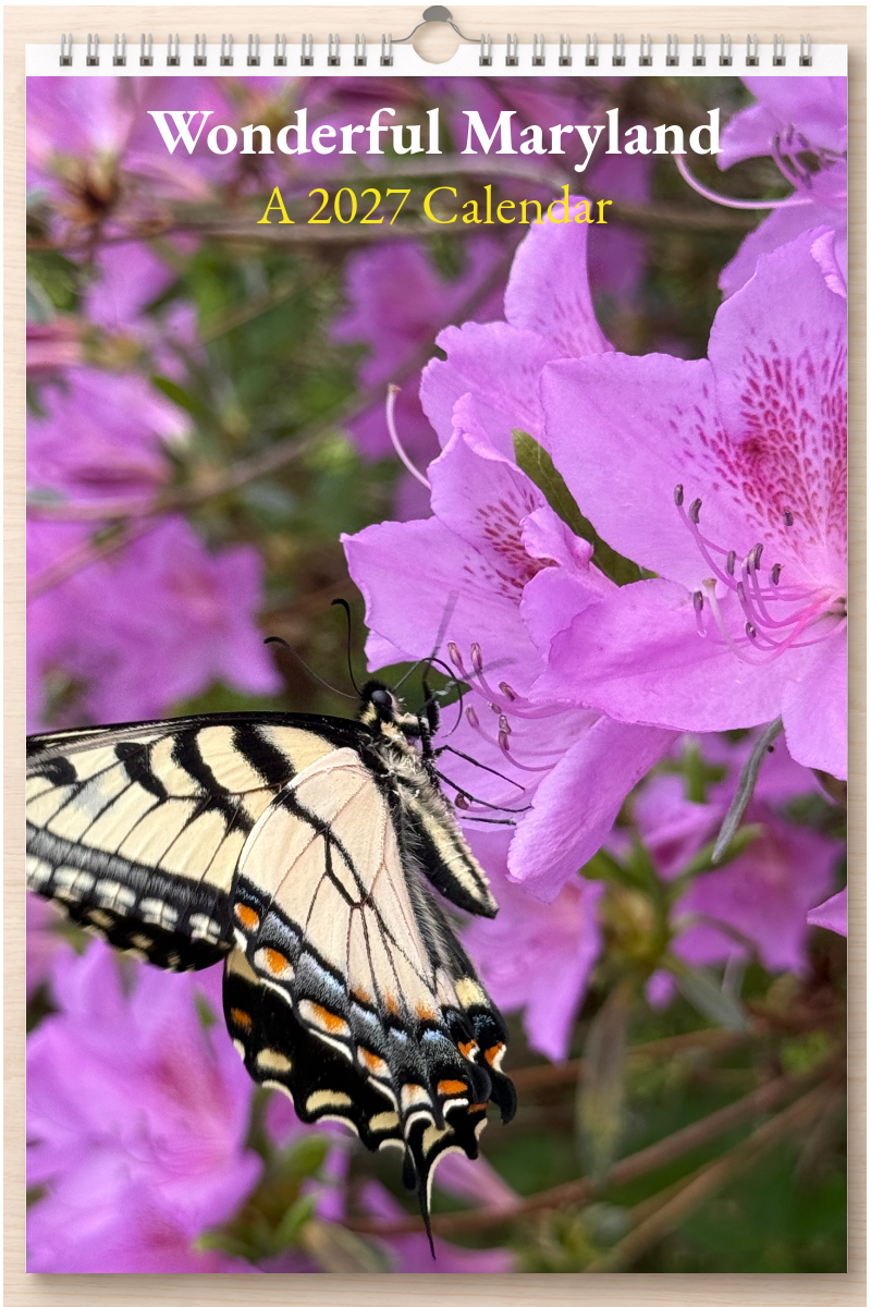 Wonderful Maryland: A 2027 Calendar