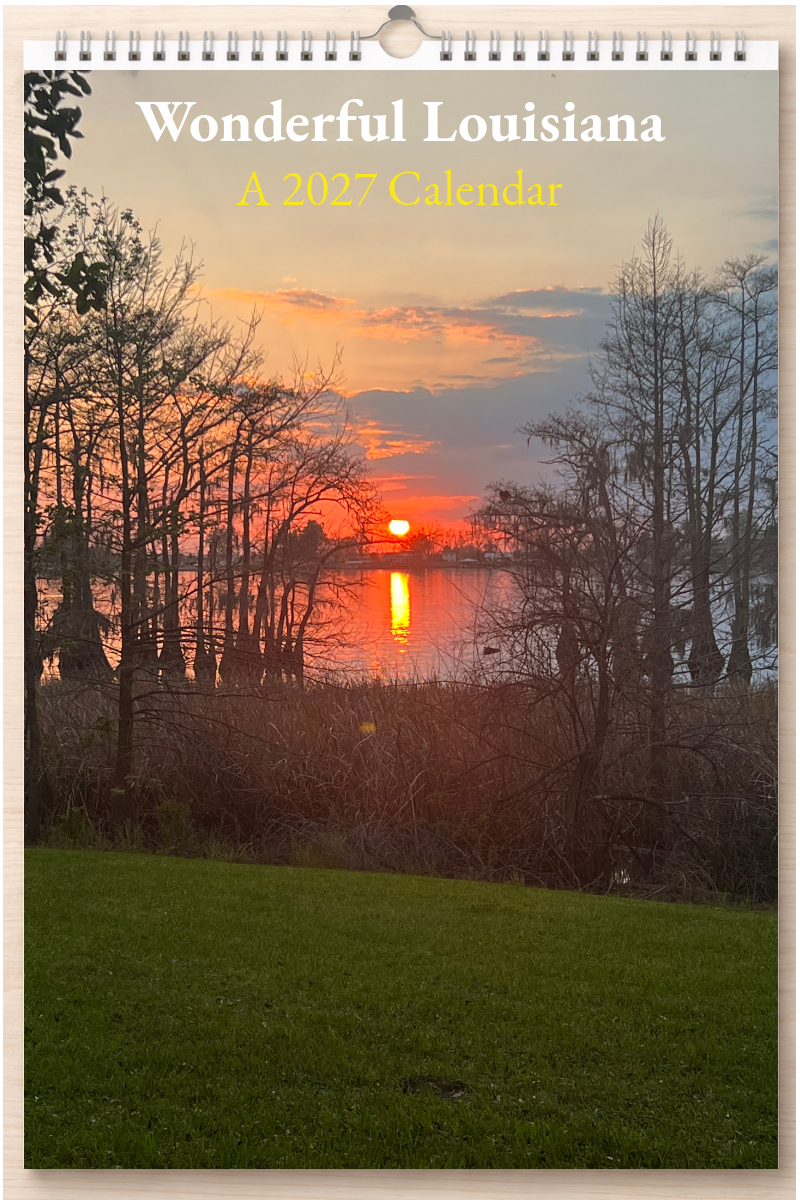 Wonderful Louisiana: A 2027 Calendar