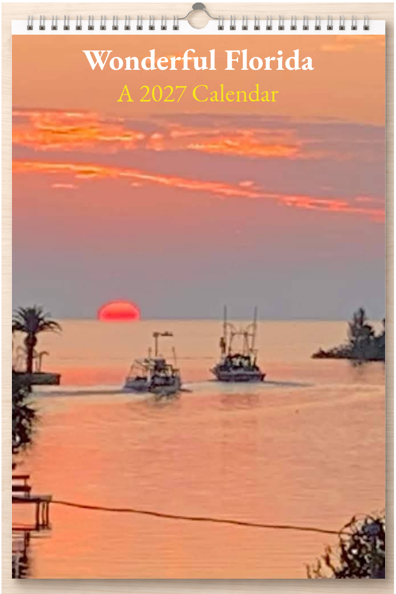 Wonderful Florida: A 2027 Calendar
