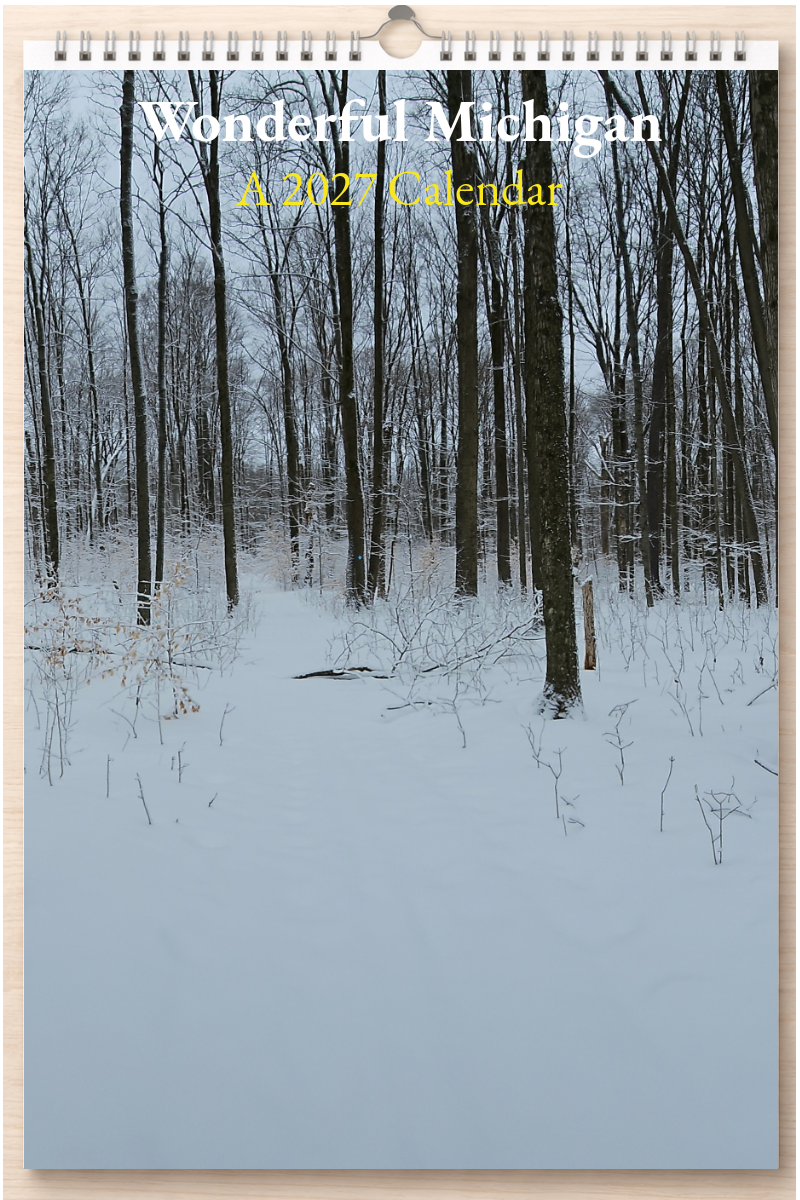 Wonderful Michigan: A 2027 Calendar