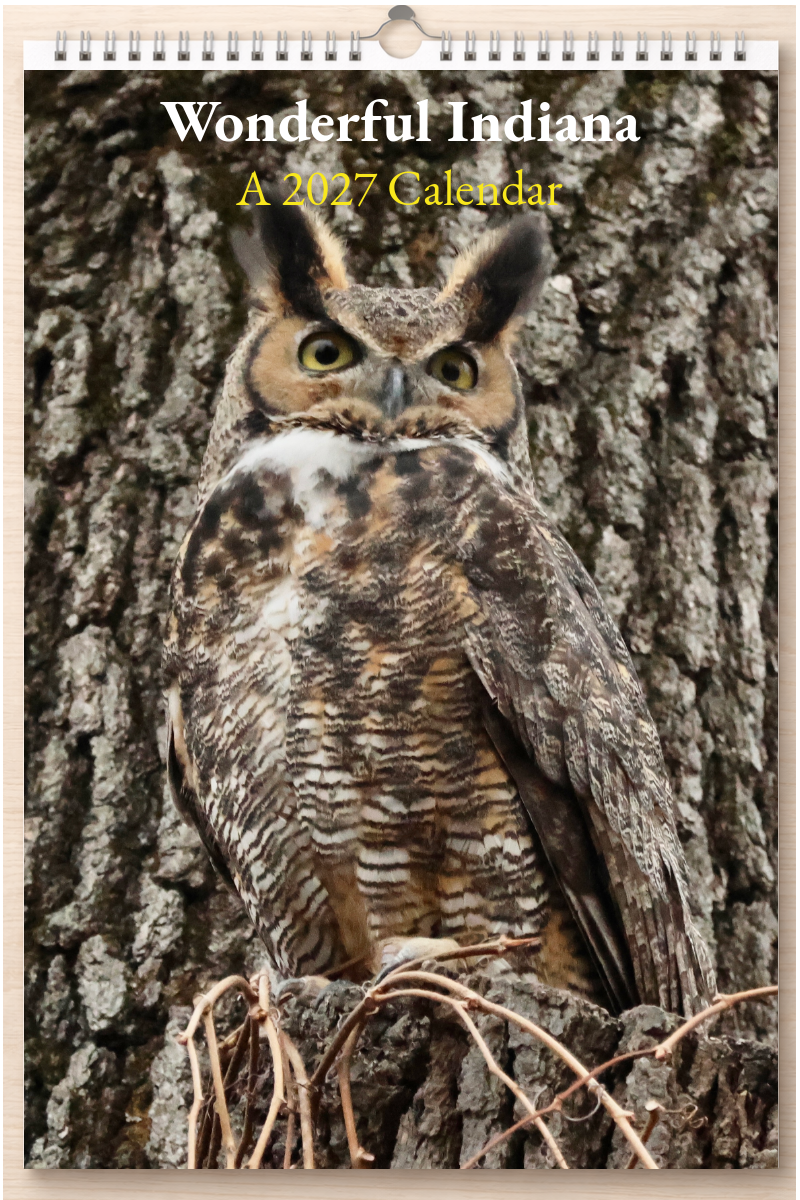 Wonderful Indiana: A 2027 Calendar
