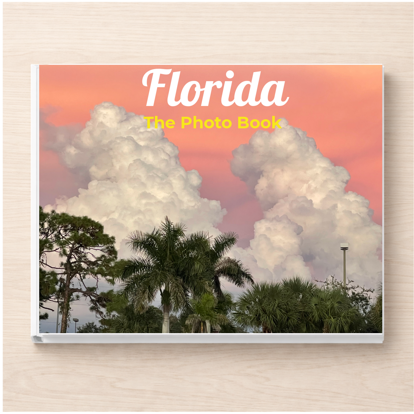 Florida: The Photo Book