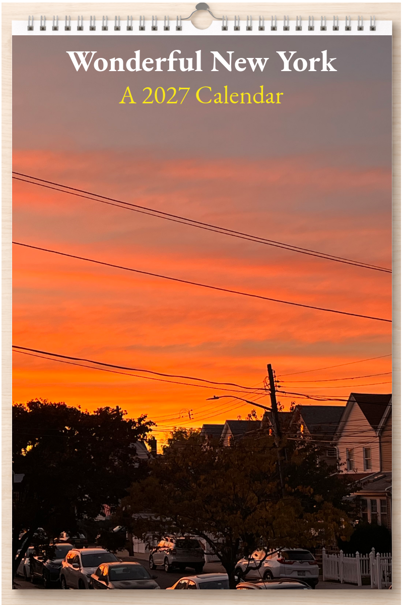Wonderful New York: A 2027 Calendar