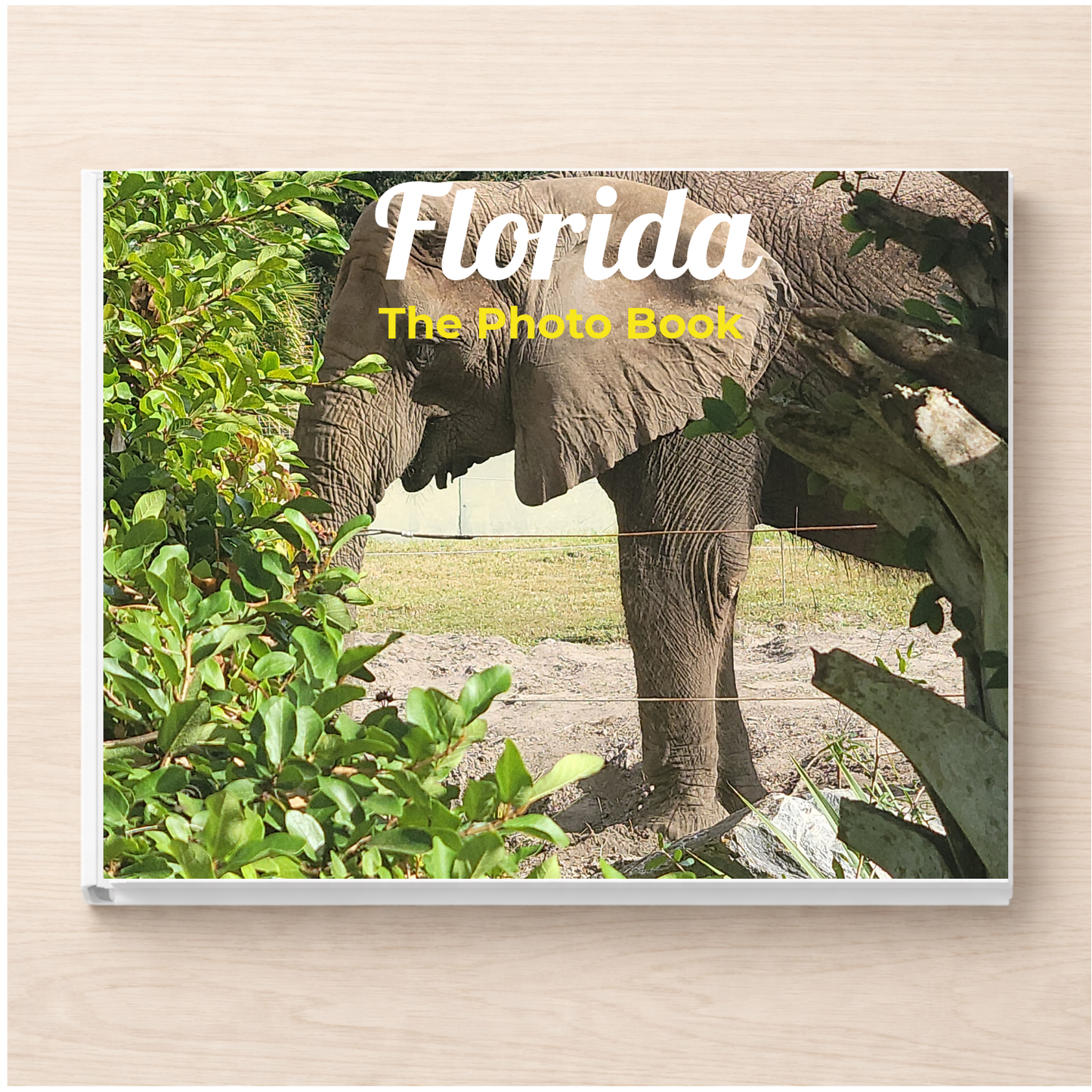 Florida: The Photo Book
