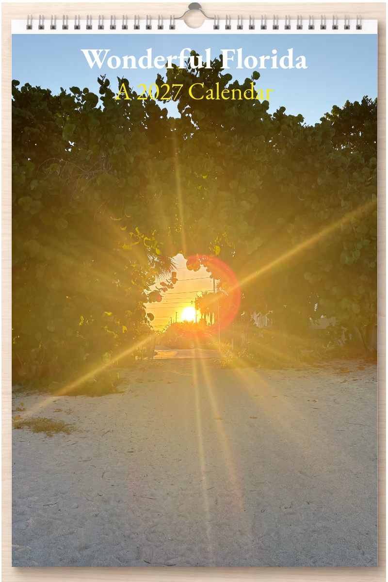 Wonderful Florida: A 2027 Calendar