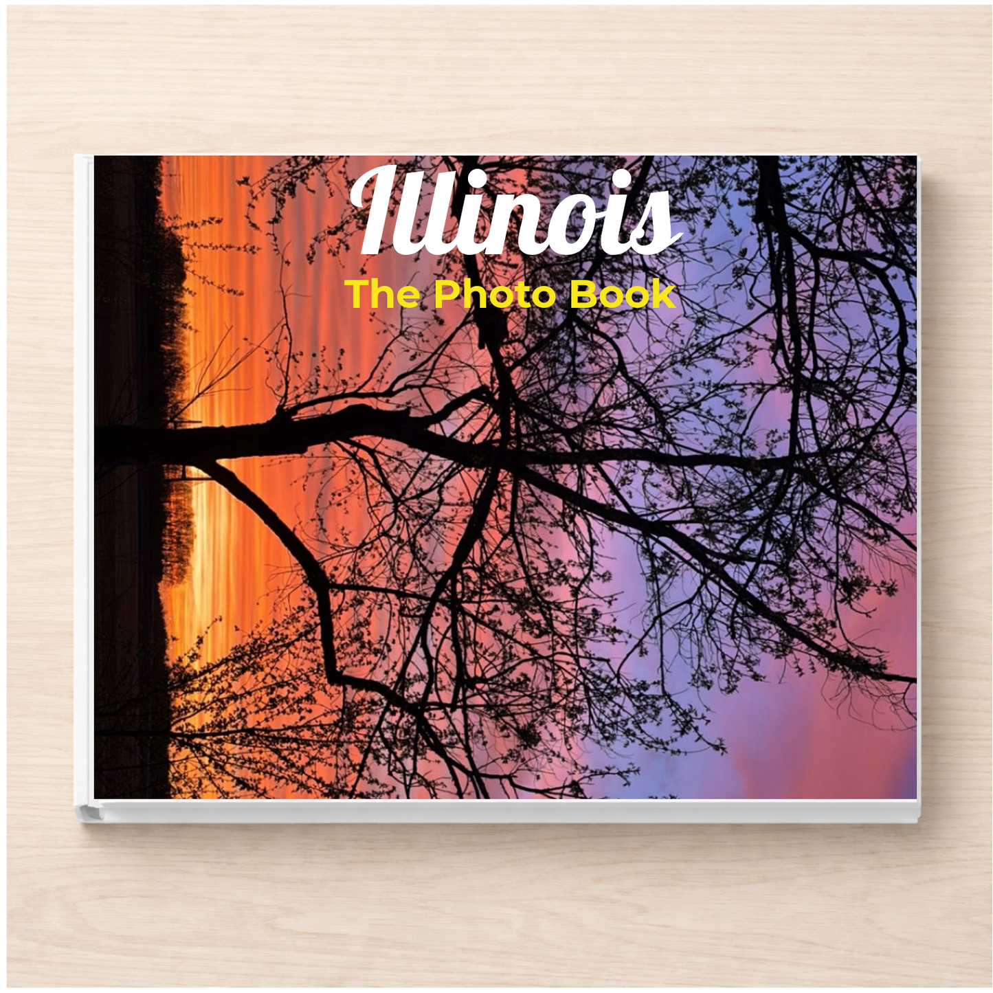 Illinois: The Photo Book