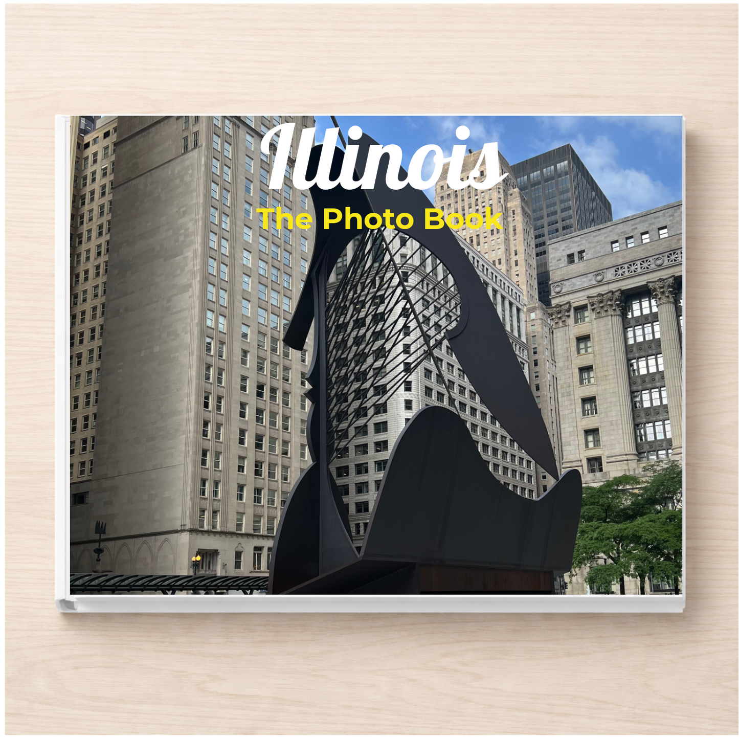 Illinois: The Photo Book