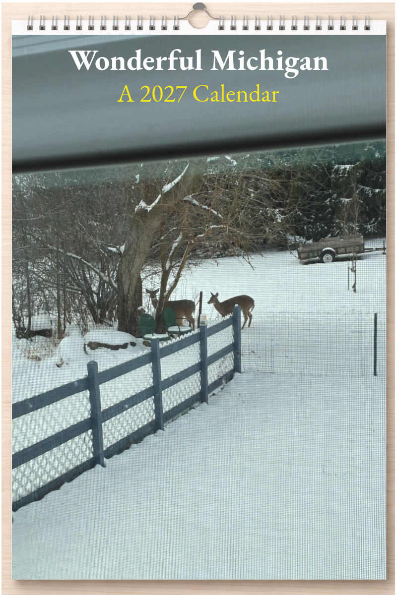 Wonderful Michigan: A 2027 Calendar