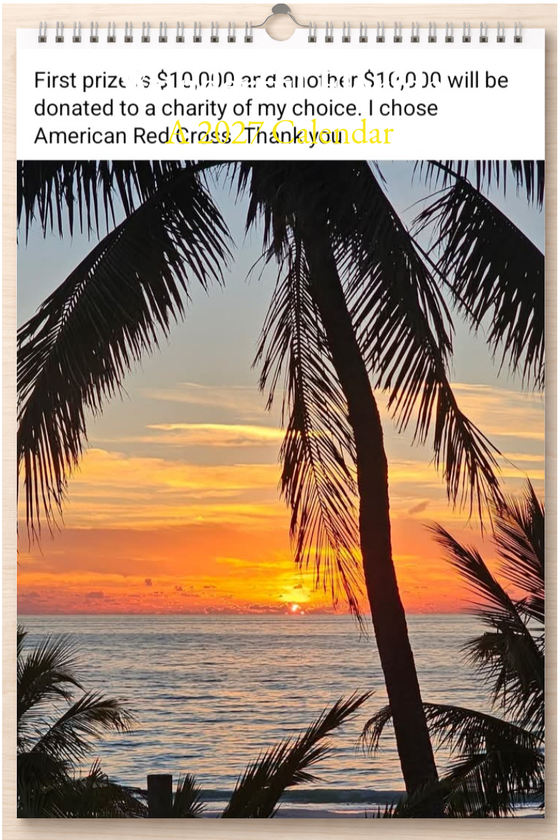 Wonderful Florida: A 2027 Calendar