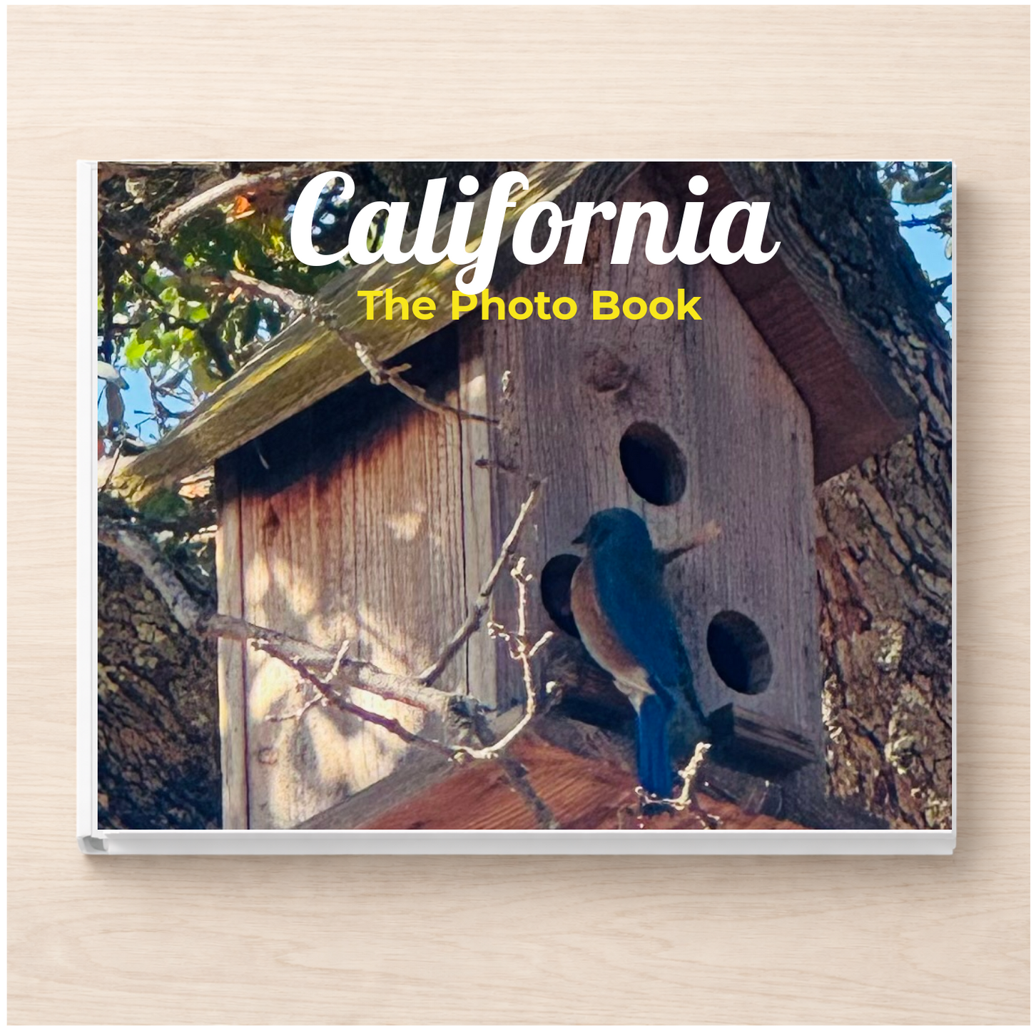 California: The Photo Book