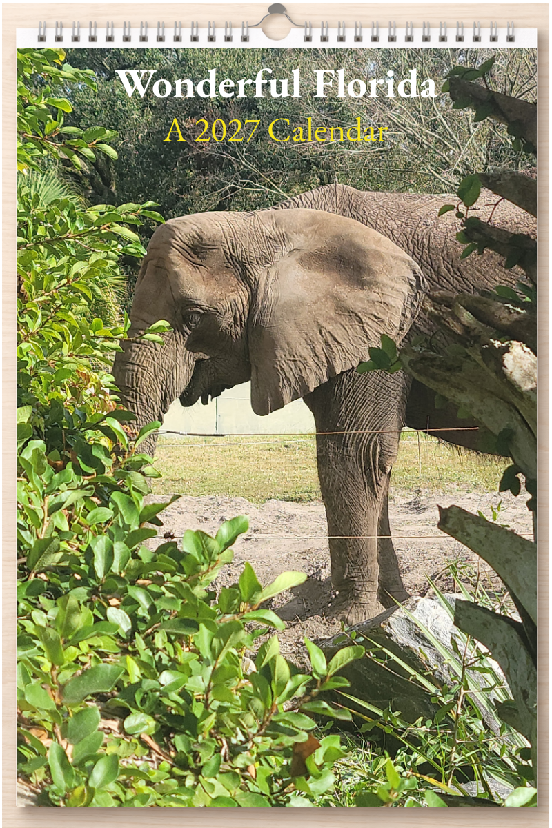 Wonderful Florida: A 2027 Calendar