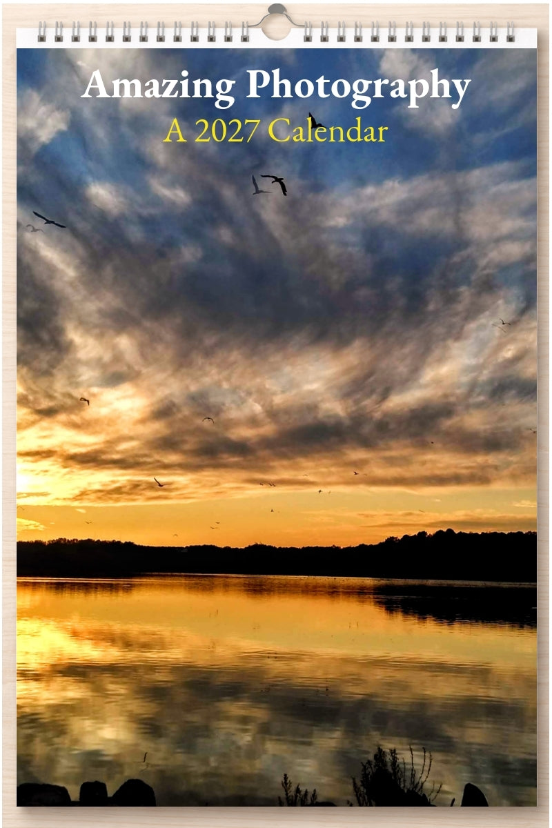 Amazing Photography: A 2027 Calendar