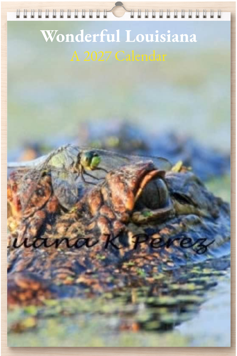 Wonderful Louisiana: A 2027 Calendar