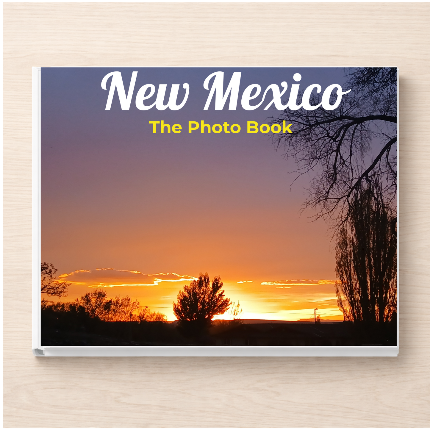 New Mexico: The Photo Book
