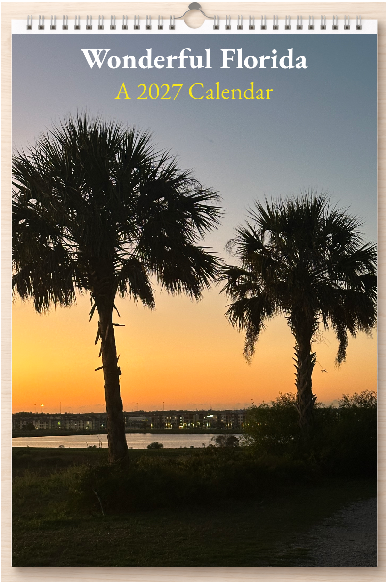 Wonderful Florida: A 2027 Calendar
