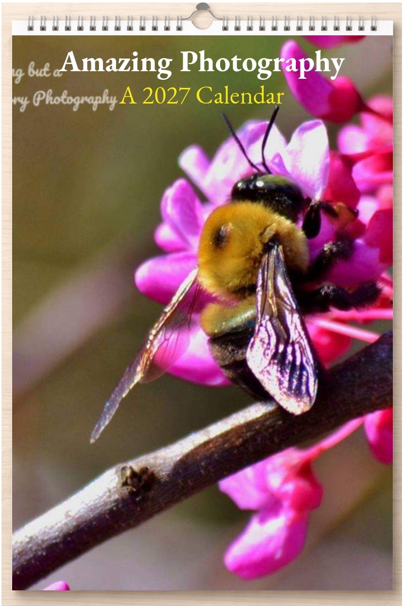 Amazing Photography: A 2027 Calendar