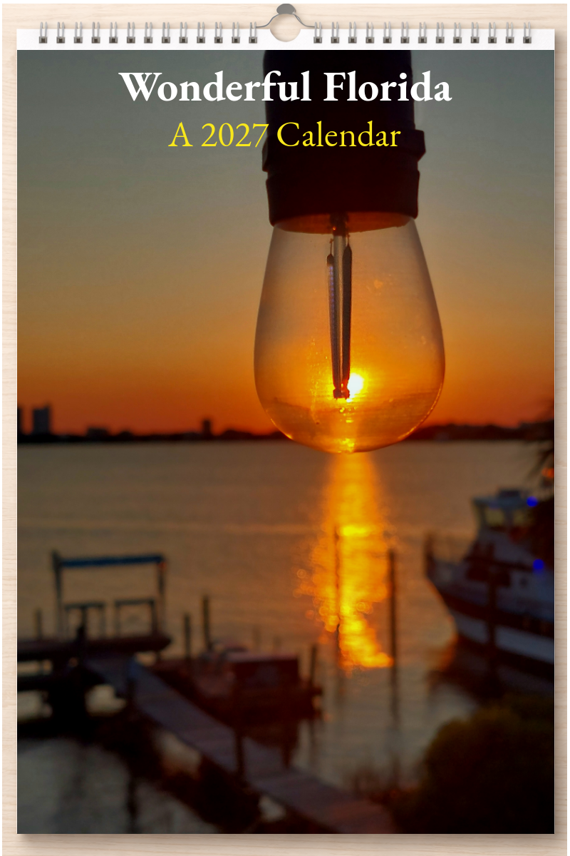 Wonderful Florida: A 2027 Calendar