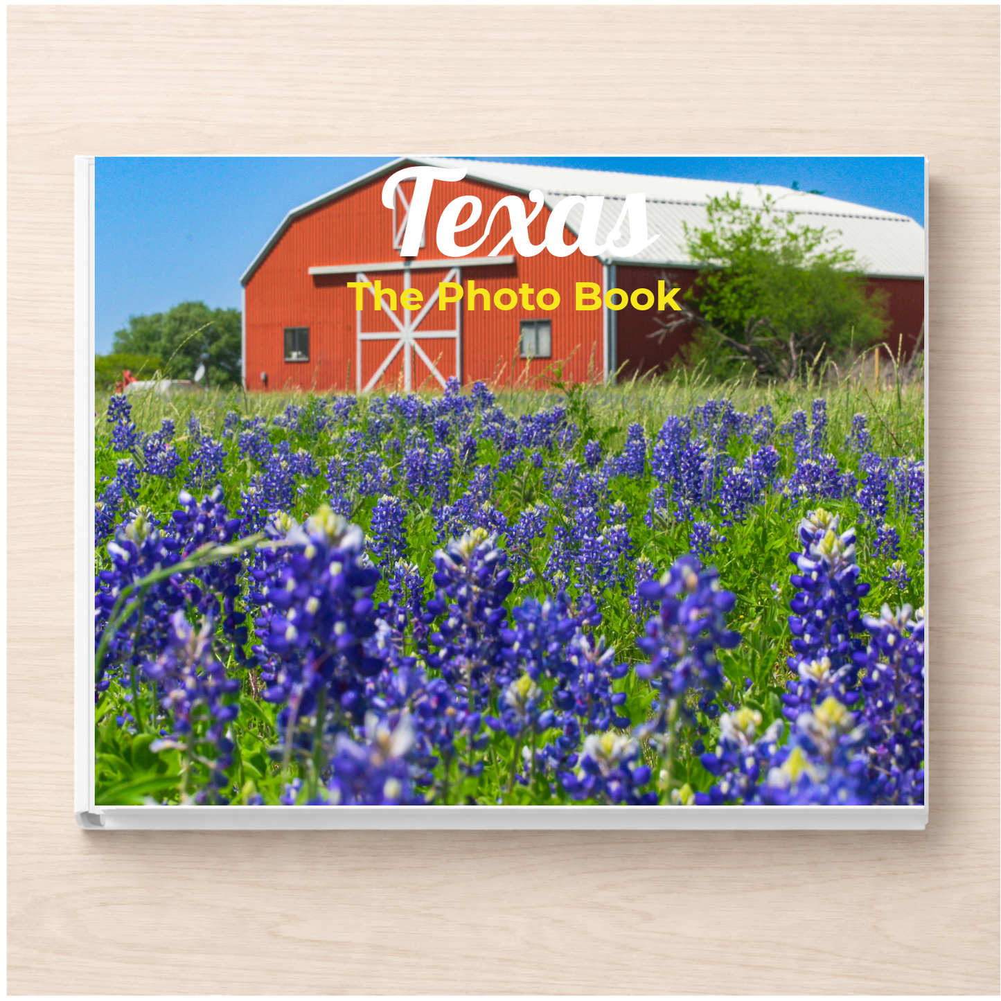 Texas: The Photo Book
