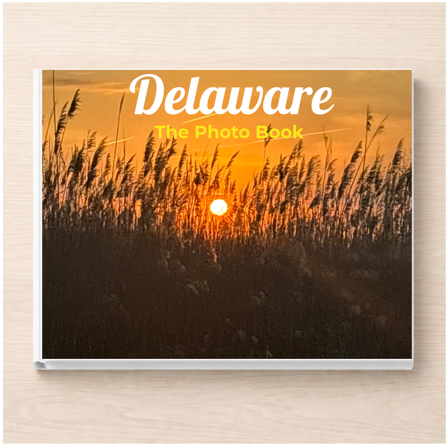 Delaware: The Photo Book