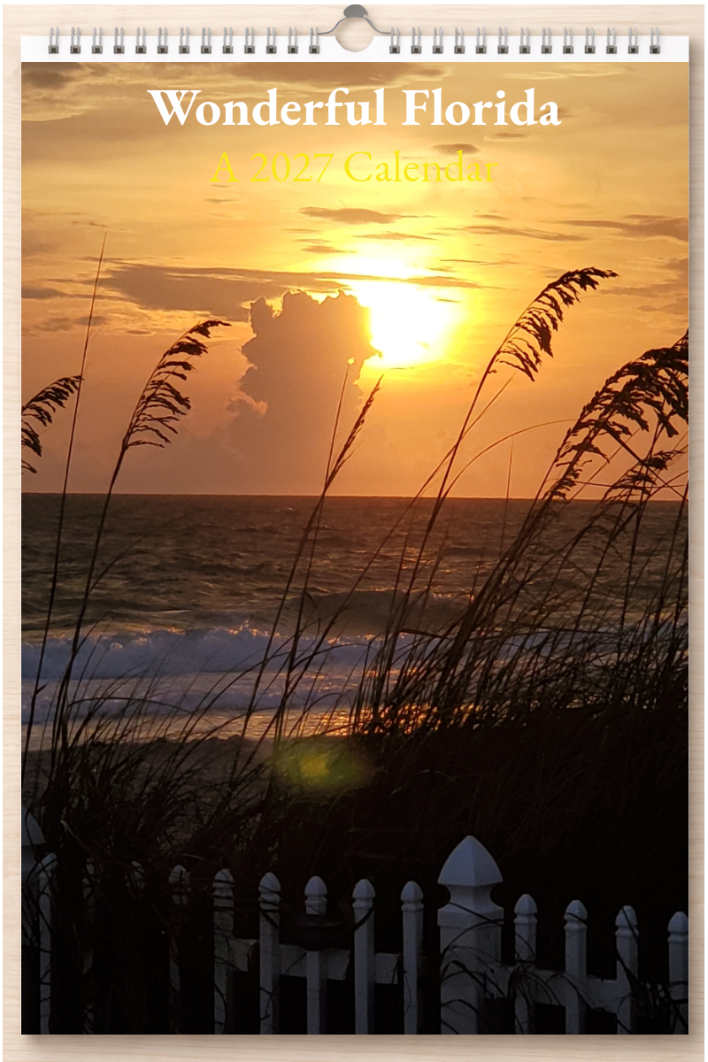 Wonderful Florida: A 2027 Calendar
