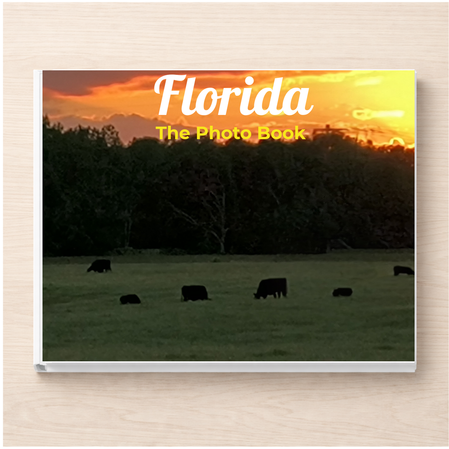 Florida: The Photo Book