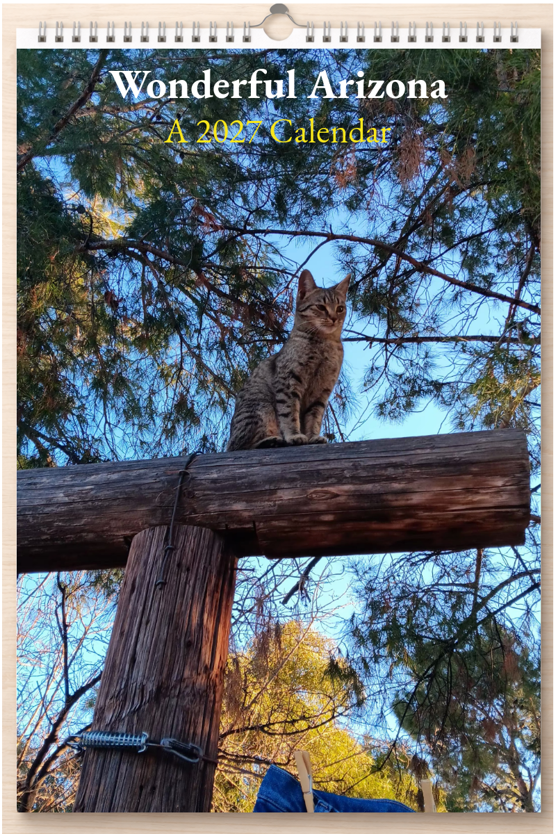 Wonderful Arizona: A 2027 Calendar