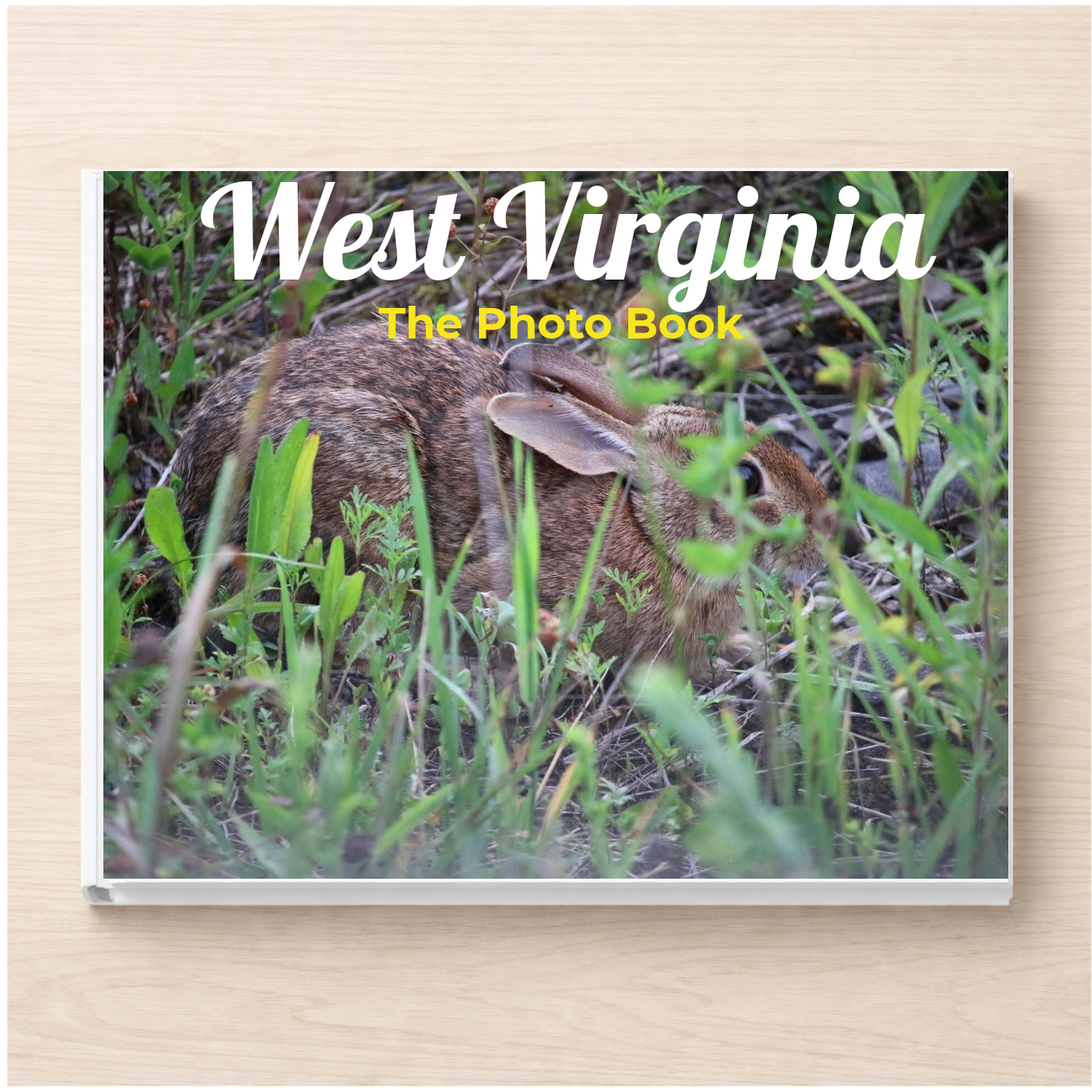 West Virginia: The Photo Book