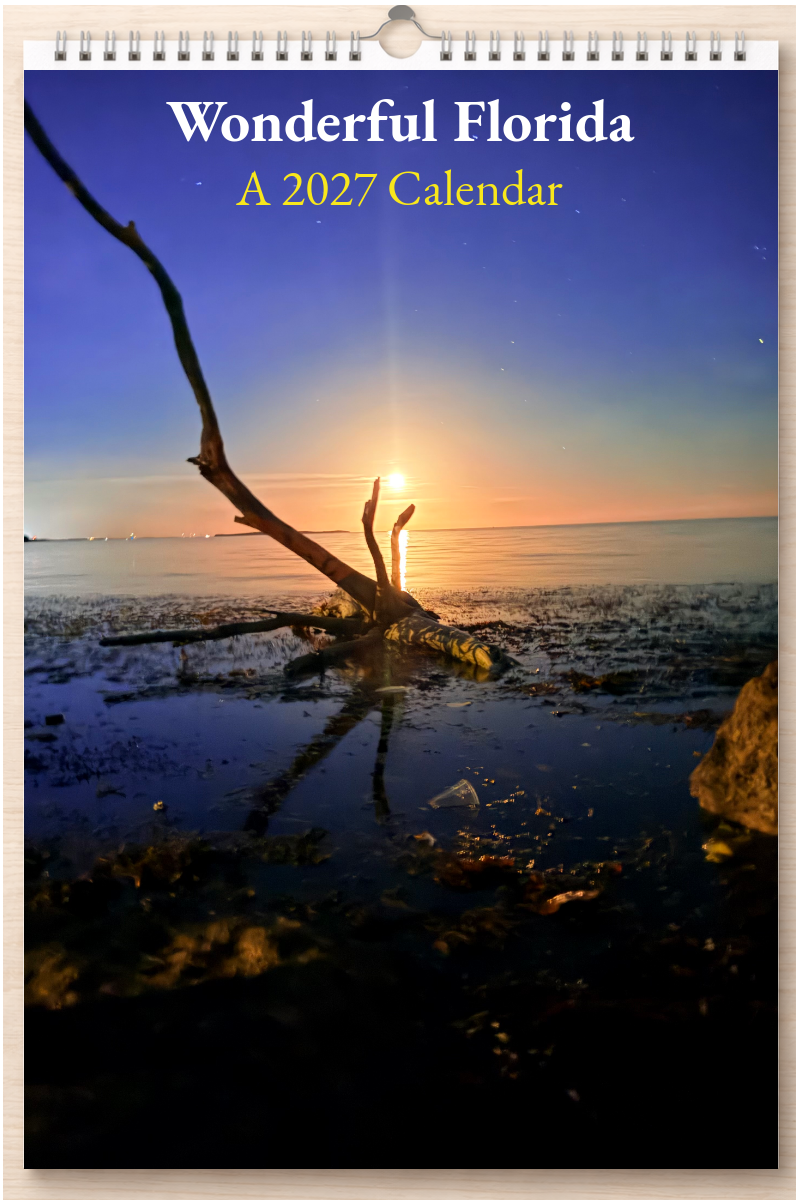 Wonderful Florida: A 2027 Calendar