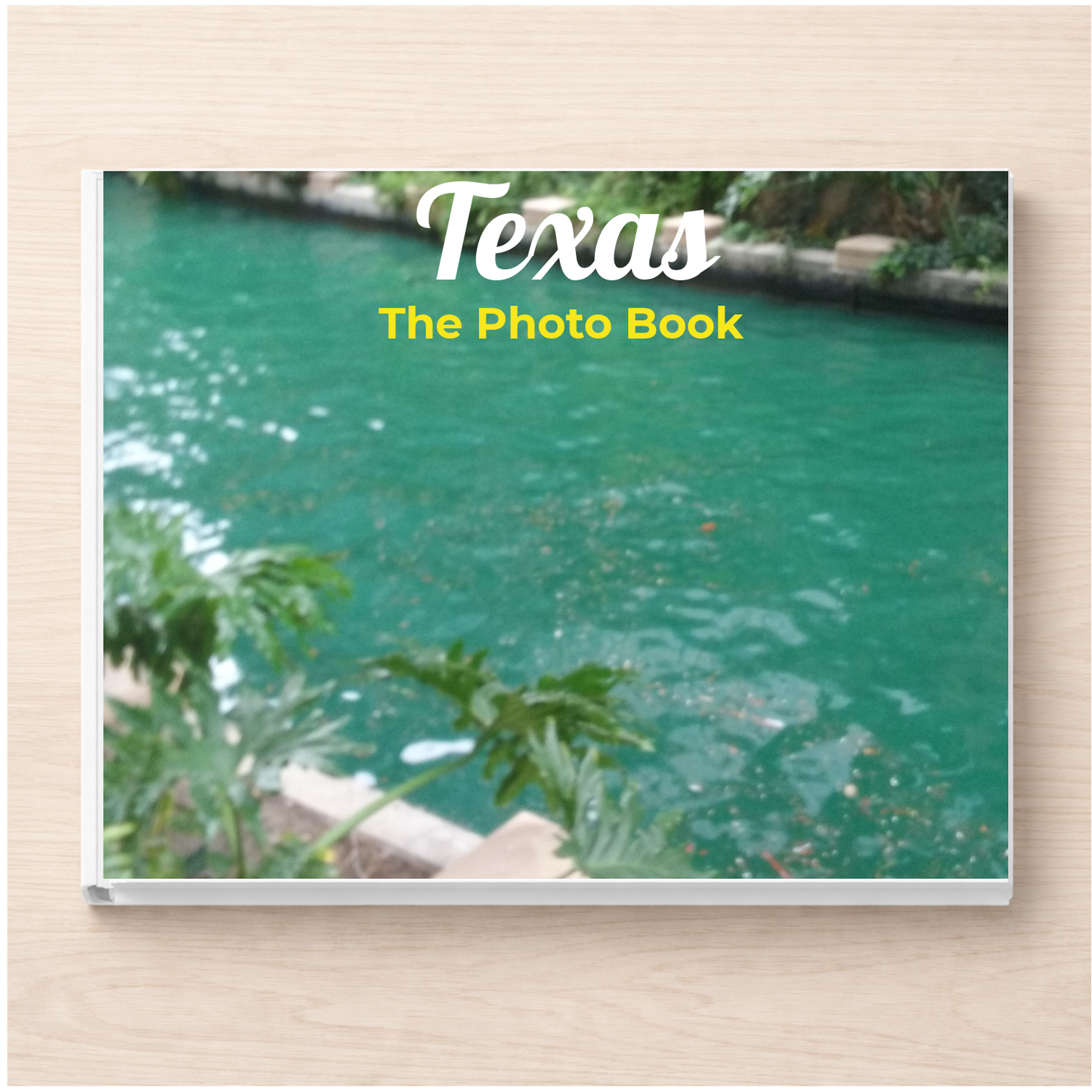 Texas: The Photo Book