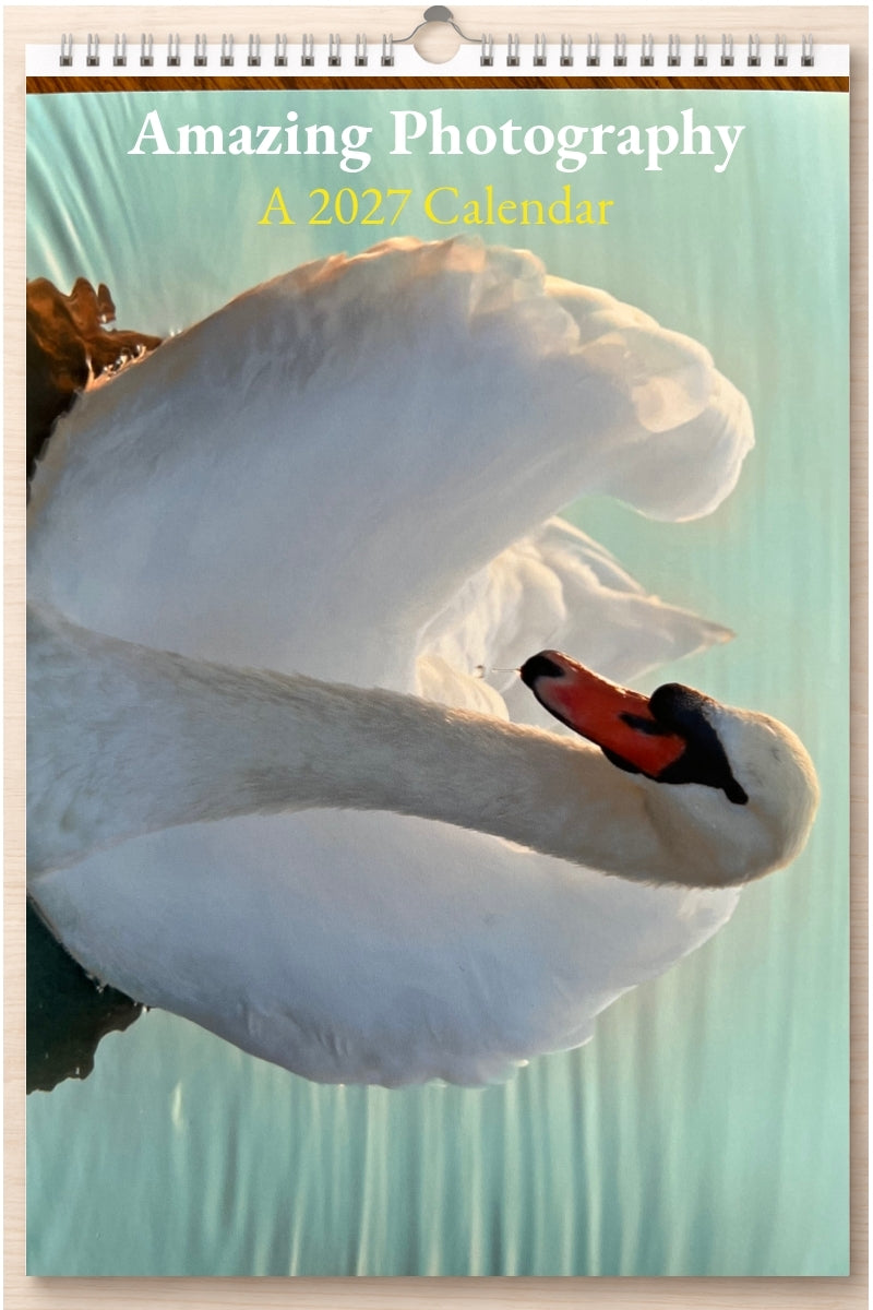 Amazing Photography: A 2027 Calendar