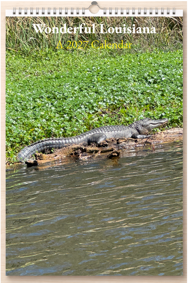 Wonderful Louisiana: A 2027 Calendar