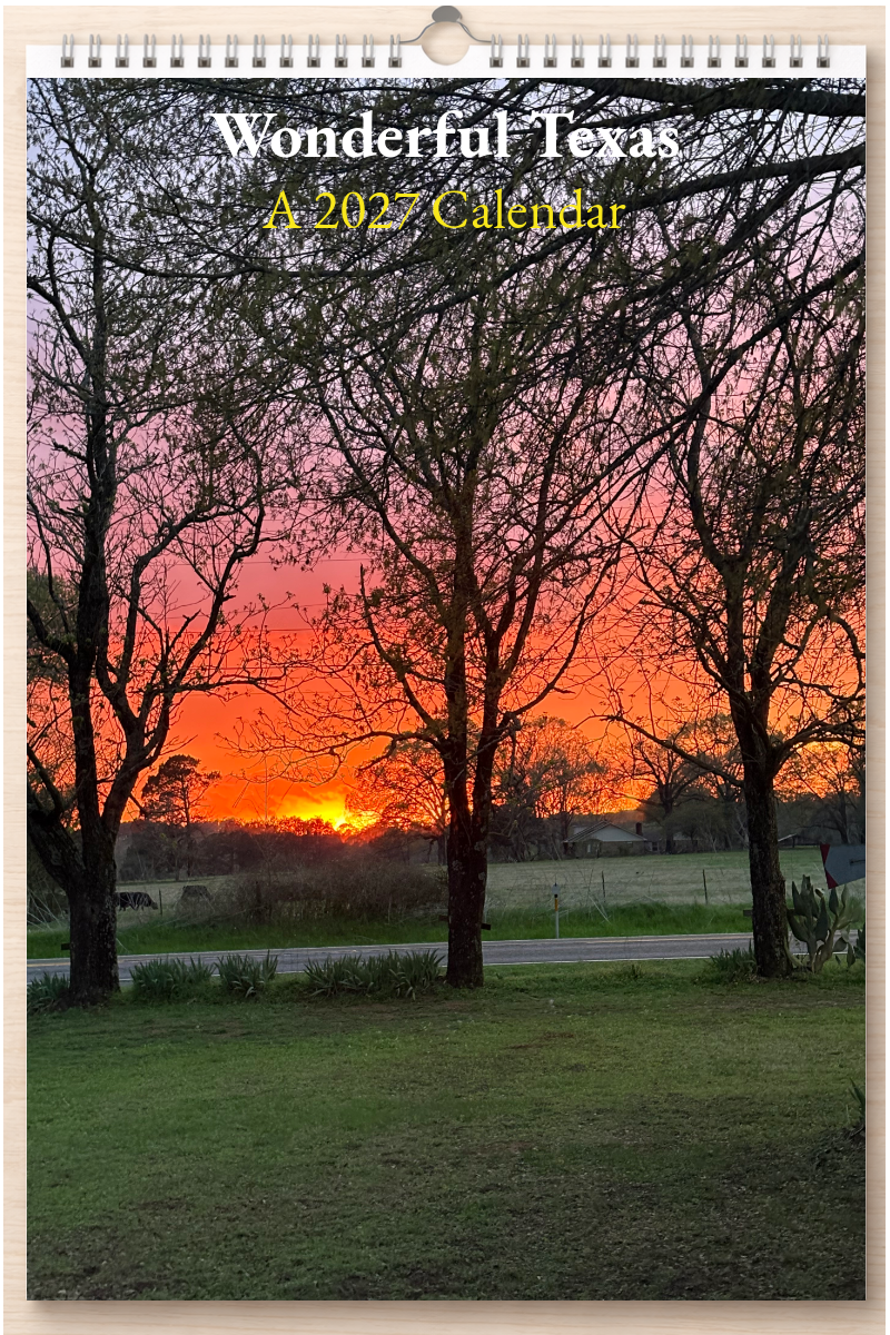 Wonderful Texas: A 2027 Calendar