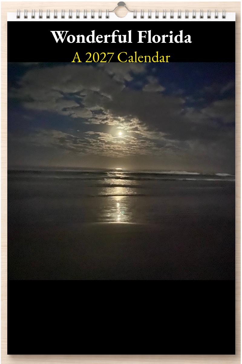 Wonderful Florida: A 2027 Calendar