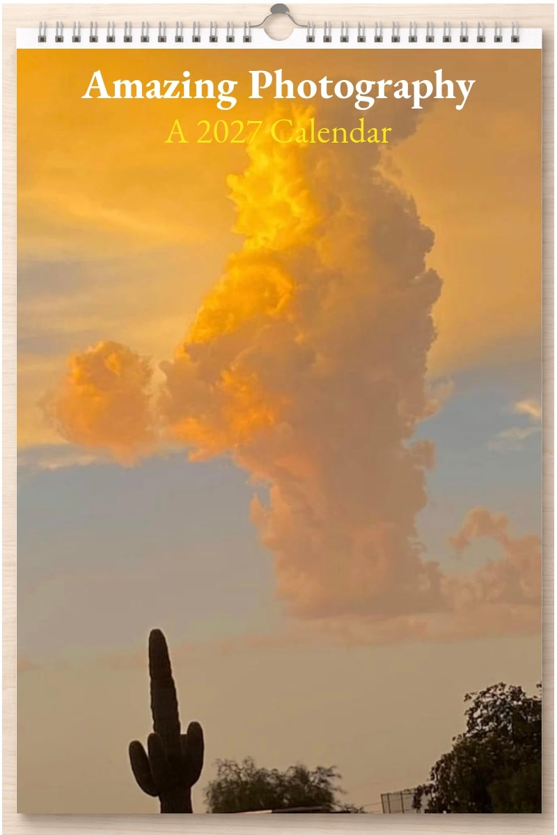 Amazing Photography: A 2027 Calendar