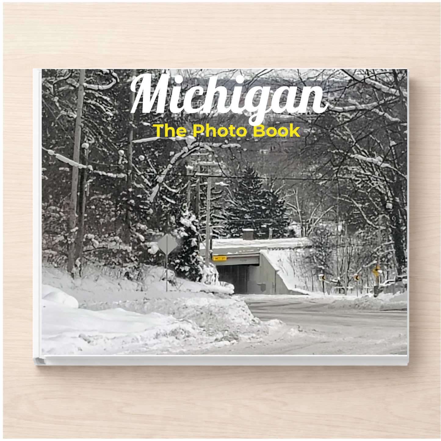 Michigan: The Photo Book