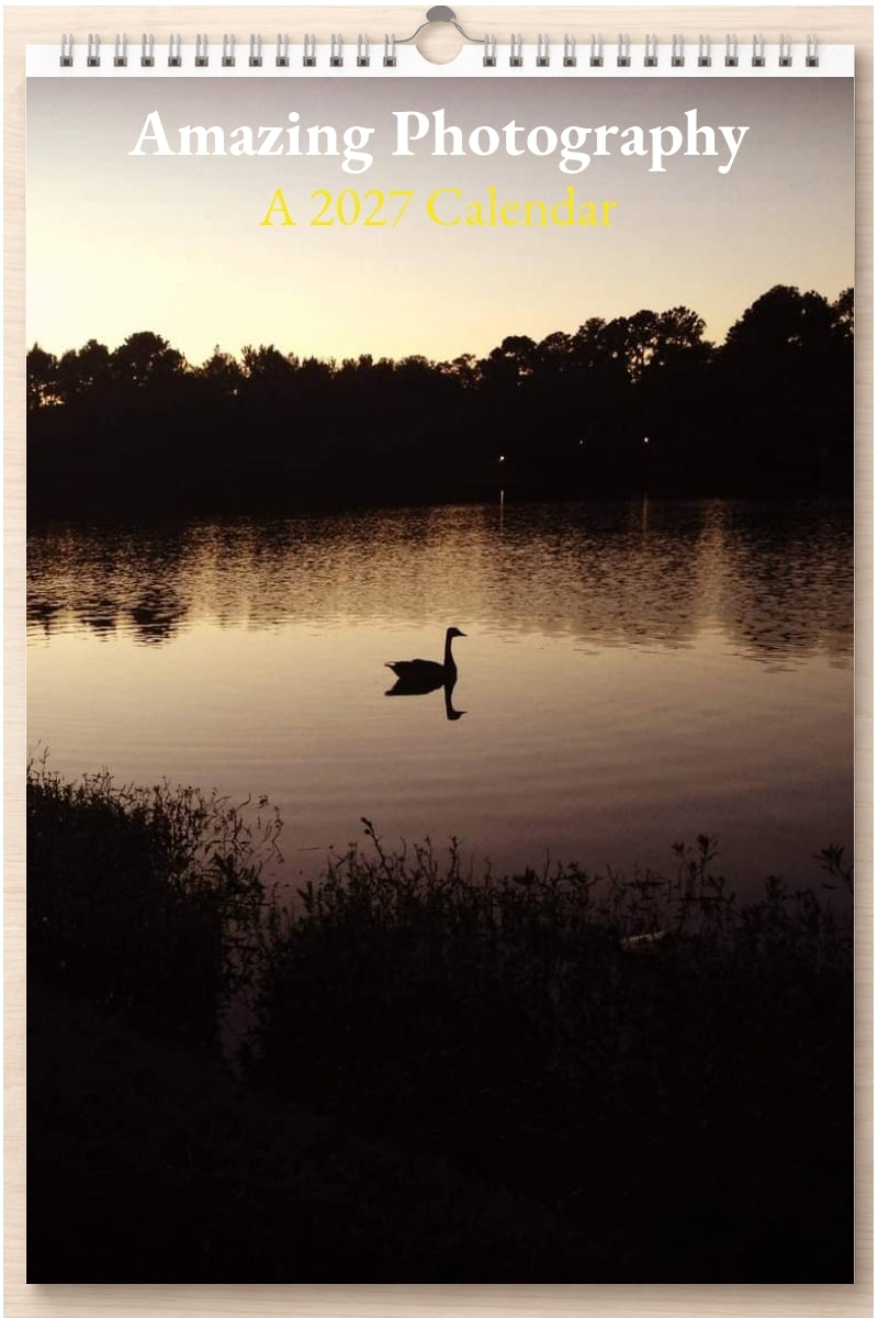 Amazing Photography: A 2027 Calendar