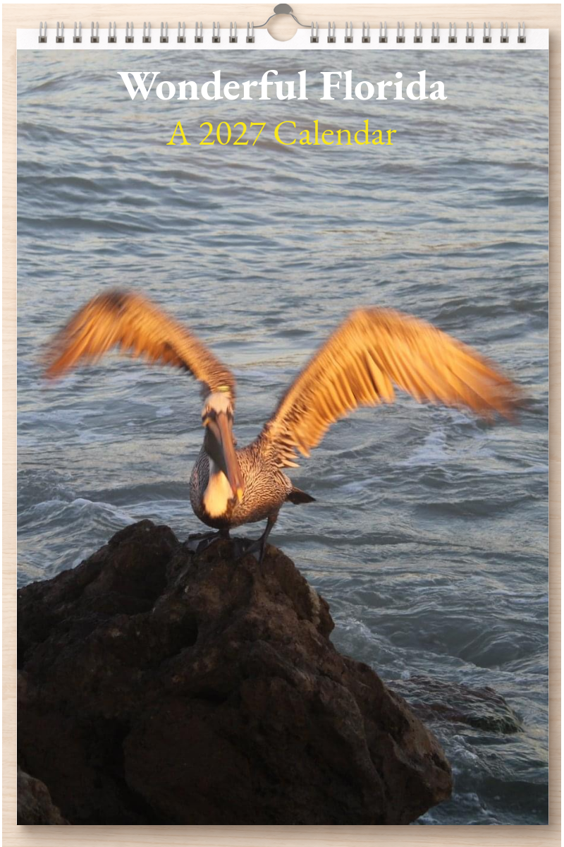Wonderful Florida: A 2027 Calendar