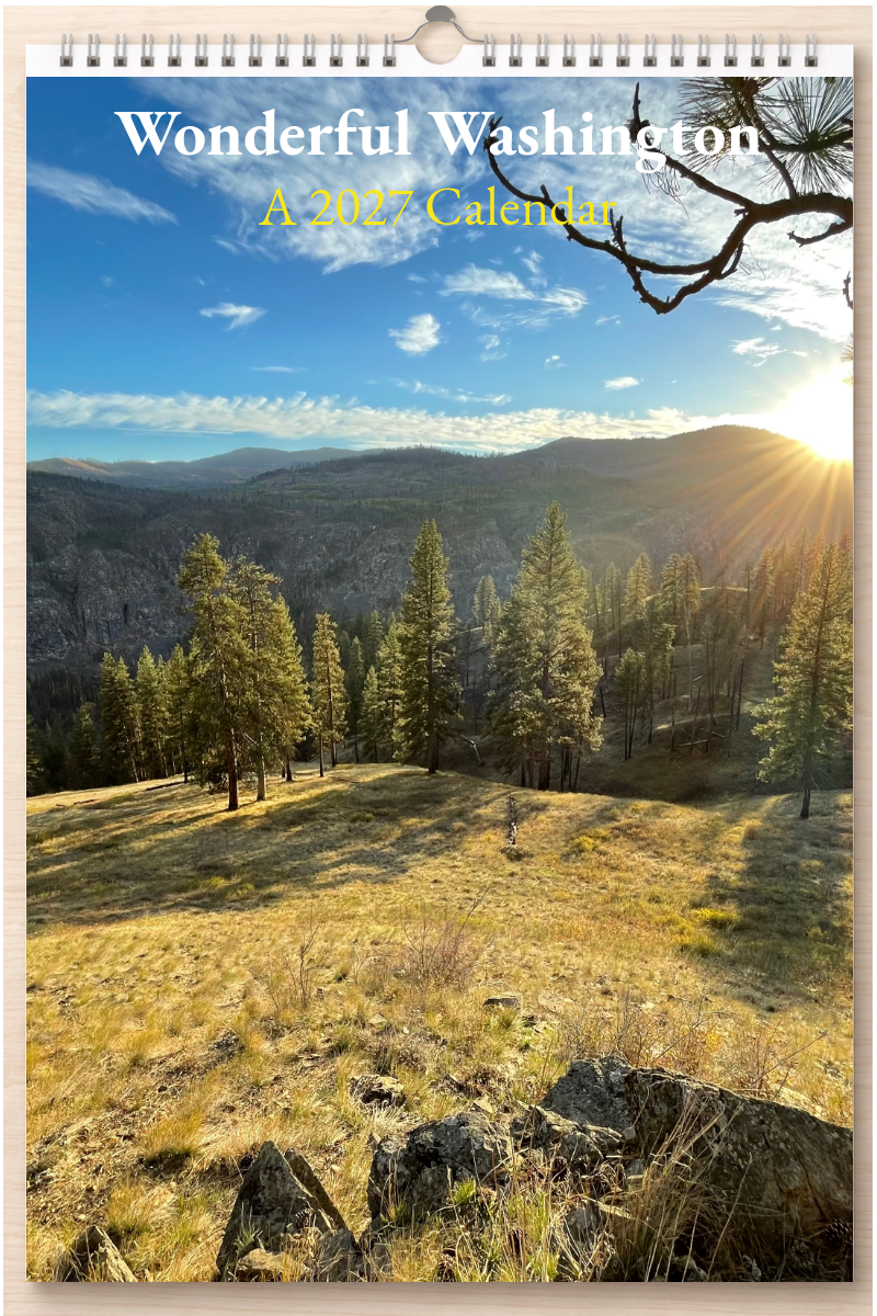 Wonderful Washington: A 2027 Calendar
