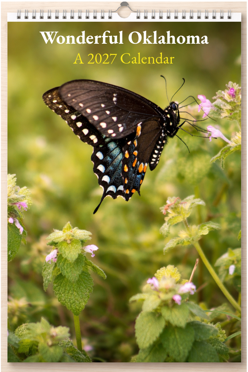 Wonderful Oklahoma: A 2027 Calendar